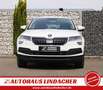 Skoda Karoq 1.5 TSI Drive 125 I LED I Pano I AHK Weiß - thumbnail 5