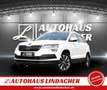 Skoda Karoq 1.5 TSI Drive 125 I LED I Pano I AHK Weiß - thumbnail 1