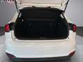 Fiat Tipo Tipo 5p 1.6 mjt Easy Business s&s 120cv my19 Bianco - thumbnail 9
