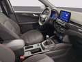 Ford Kuga 1.5 ecoblue ST-Line 2wd 120cv Gris - thumbnail 8