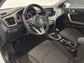 Kia Ceed / cee'd 1.0 T-GDI Drive 100 Blanco - thumbnail 8
