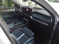 Skoda Kodiaq Kodiaq 2,0 TDI 4x4 Sportline DSG Sportline Grau - thumbnail 7