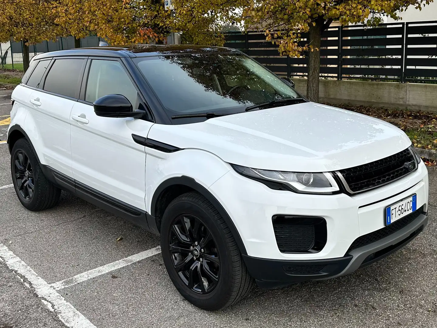 Land Rover Range Rover Evoque 5p 2.0 td4 Pure 150CV Black & White Limited Ed. Bianco - 2