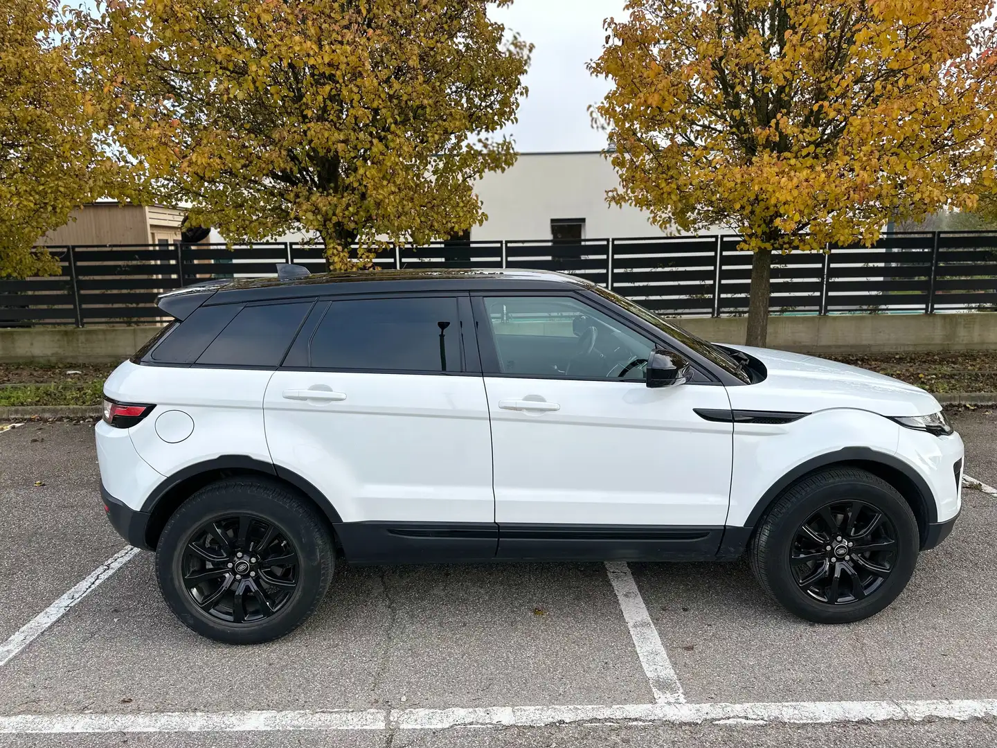 Land Rover Range Rover Evoque 5p 2.0 td4 Pure 150CV Black & White Limited Ed. Bianco - 1