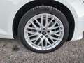 Audi A4 A4  Avant 2.0 tdi Business Sport 150cv s-tronic Bianco - thumbnail 26