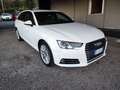 Audi A4 A4  Avant 2.0 tdi Business Sport 150cv s-tronic Bianco - thumbnail 3