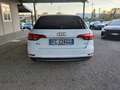 Audi A4 A4  Avant 2.0 tdi Business Sport 150cv s-tronic Bianco - thumbnail 6