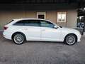 Audi A4 A4  Avant 2.0 tdi Business Sport 150cv s-tronic Bianco - thumbnail 4