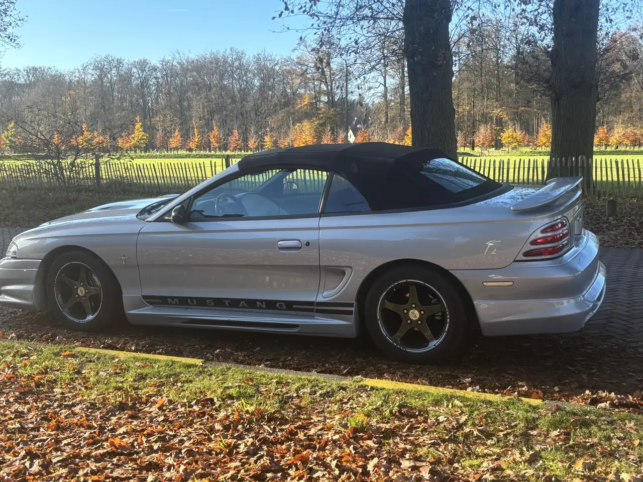 Ford Mustang 5.0 V8 Convertible, foto 5