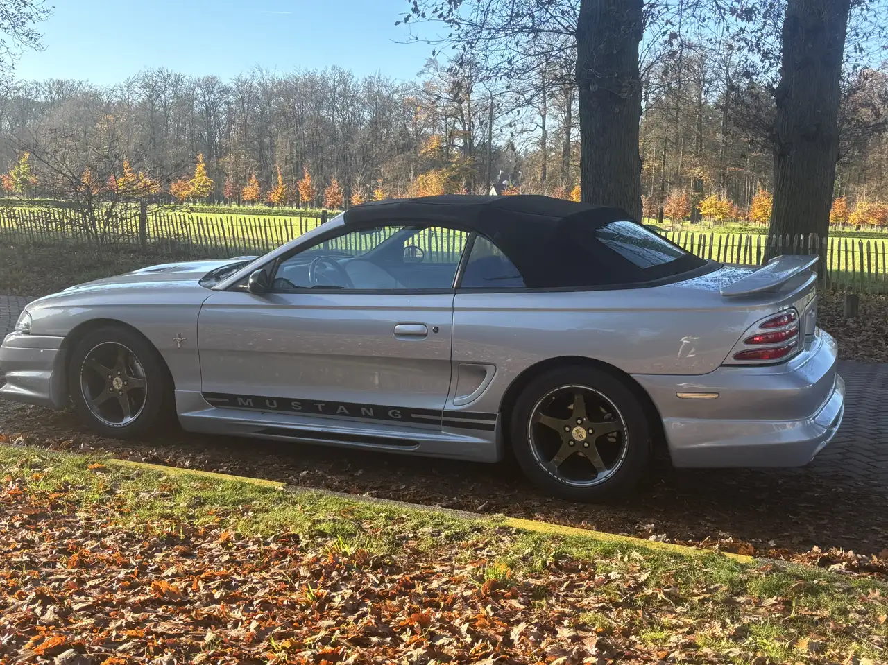 Ford Mustang 5.0 V8 Convertible, foto 7