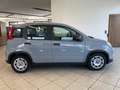 Fiat Panda 1.0 firefly hybrid s&s 70cv 5p.ti Blu/Azzurro - thumbnail 4