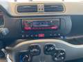 Fiat Panda 1.0 firefly hybrid s&s 70cv 5p.ti Blu/Azzurro - thumbnail 12