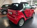 smart forTwo cabrio Micro Hybrid Drive 1.Hand El.Verdeck Sounds Rot - thumbnail 10