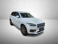 Volvo XC90 Diesel Inscription AWD Xenium AHK Standh Weiß - thumbnail 2