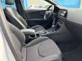 SEAT Leon ST 2.0TDI CR S&S FR DSG7 150 Blanco - thumbnail 22