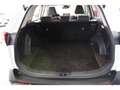 Toyota RAV 4 AWD Hybride Dynamic Business + Blanco - thumbnail 21