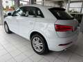 Audi Q3 2.0TDI AHK Xenon GRA Navi Blanco - thumbnail 7