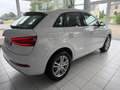 Audi Q3 2.0TDI AHK Xenon GRA Navi Blanco - thumbnail 5