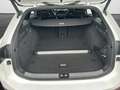 Volkswagen Passat Variant 2.0 TDI DSG 4M R-Line Weiß - thumbnail 12
