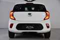 Kia Picanto 1.0 CVVT EconomyLine Blanc - thumbnail 14