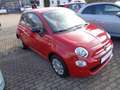 Fiat 500 Basis Rojo - thumbnail 2