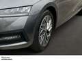 Skoda Octavia Com. 1.0 TSI TOUR LED NAVI AHK SHZ PDC LM ZV Grau - thumbnail 8