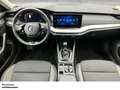 Skoda Octavia Com. 1.0 TSI TOUR LED NAVI AHK SHZ PDC LM ZV Grau - thumbnail 5