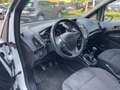 Ford B-Max 1.4 90 CV*Neopatentati* Bianco - thumbnail 9