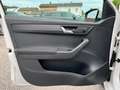 Skoda Fabia Combi Ambition 1,0 TSI | PDC Weiß - thumbnail 29
