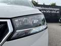Skoda Fabia Combi Ambition 1,0 TSI | PDC Weiß - thumbnail 32