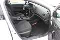 Renault Megane 1.5 dCi 110PK Grijs Kenteken, Navigatie, Airco, - thumbnail 5