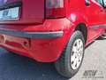 Fiat Panda 1.3 MJT 16V 69 Cv Rojo - thumbnail 22