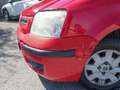 Fiat Panda 1.3 MJT 16V 69 Cv Rojo - thumbnail 19