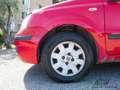 Fiat Panda 1.3 MJT 16V 69 Cv Rojo - thumbnail 13