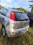 Fiat Punto 5p 1.2 Lounge E6 - thumbnail 4