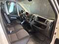 Fiat Ducato 33 MH2 2.3 mjt 120cv E6d-temp - thumbnail 15