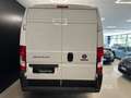 Fiat Ducato 33 MH2 2.3 mjt 120cv E6d-temp - thumbnail 20