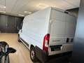 Fiat Ducato 33 MH2 2.3 mjt 120cv E6d-temp - thumbnail 3