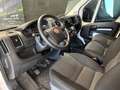 Fiat Ducato 33 MH2 2.3 mjt 120cv E6d-temp - thumbnail 7