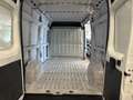 Fiat Ducato 33 MH2 2.3 mjt 120cv E6d-temp - thumbnail 19