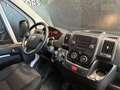Fiat Ducato 33 MH2 2.3 mjt 120cv E6d-temp - thumbnail 10