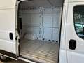 Fiat Ducato 33 MH2 2.3 mjt 120cv E6d-temp - thumbnail 18