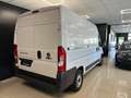 Fiat Ducato 33 MH2 2.3 mjt 120cv E6d-temp - thumbnail 4