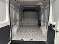 Fiat Ducato 33 MH2 2.3 mjt 120cv E6d-temp - thumbnail 17