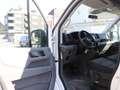 Volkswagen Crafter 35 TDI DSG KASTEN MITTEL/HOCH / LED / Weiß - thumbnail 9