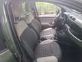 Fiat Panda 1.3 Mjt 75cv 16v 4x4 Climbing Verde - thumbnail 8