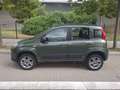 Fiat Panda 1.3 Mjt 75cv 16v 4x4 Climbing Verde - thumbnail 5