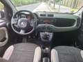 Fiat Panda 1.3 Mjt 75cv 16v 4x4 Climbing Verde - thumbnail 7