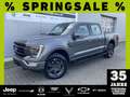 Ford F 150 Lariat Launch 5.0 V8 LPG Gris - thumbnail 1