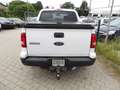Ford Explorer SPORT TRAC, Klima, Automatik, AHK, HU-AU NEU Blanc - thumbnail 12